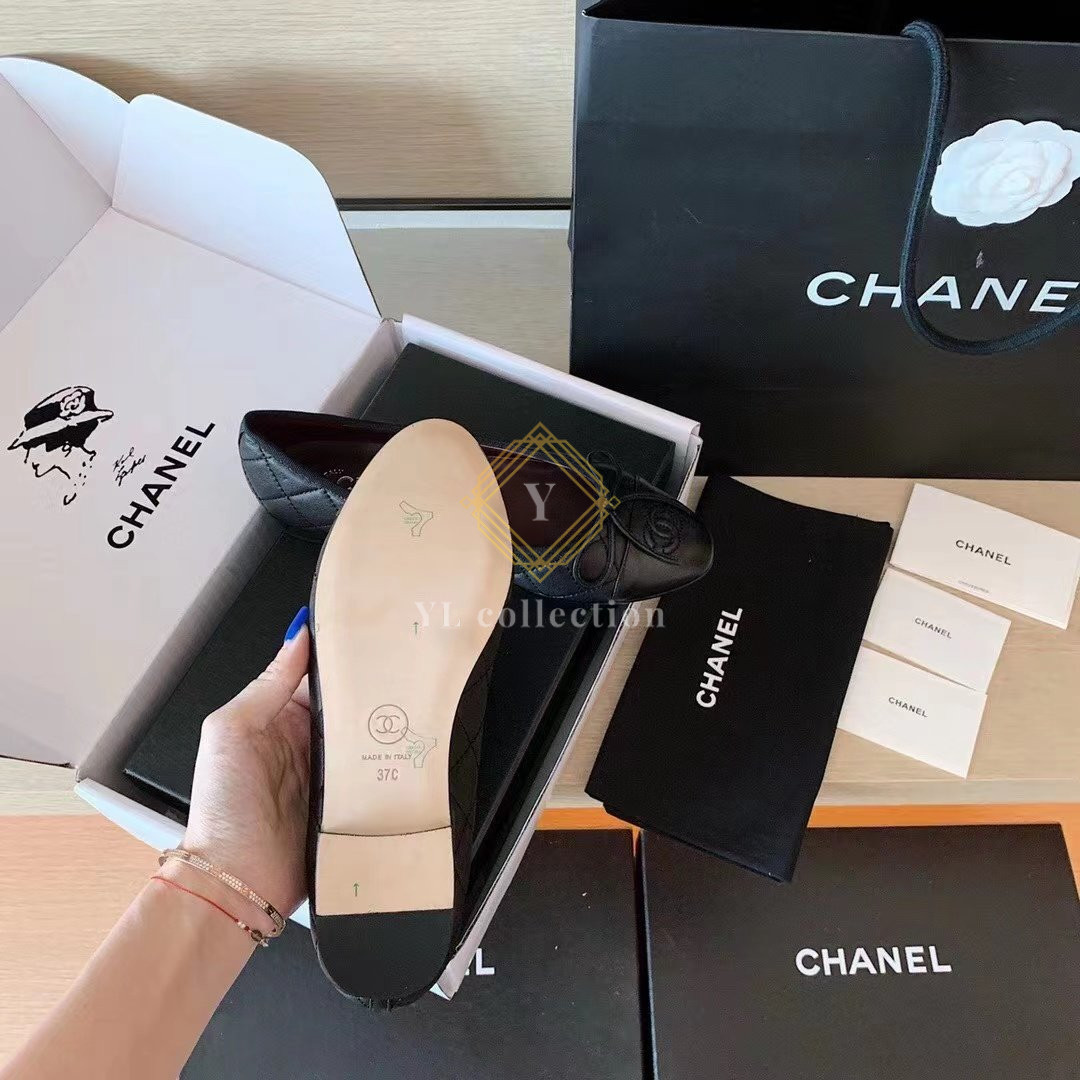 explan_3115_9.jpg