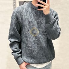 디올 오블리크 크루넥 스웨터